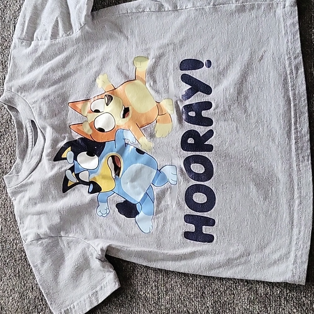 Bluey t-shirt